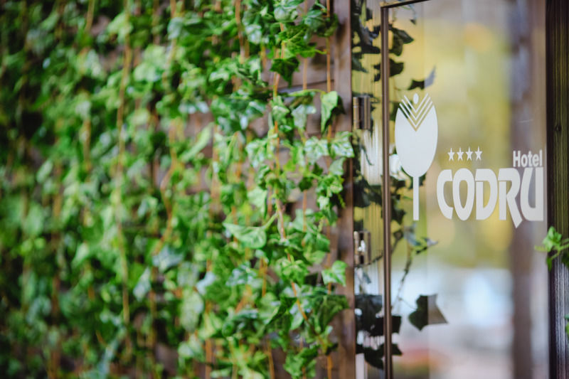 Codru Hotel Chisinau Exterior photo